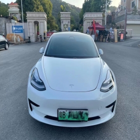 粤B深圳户2019年特斯拉Model 3 协议车